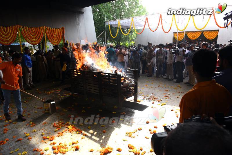 Nandamuri Harikrishna final journey and funeral