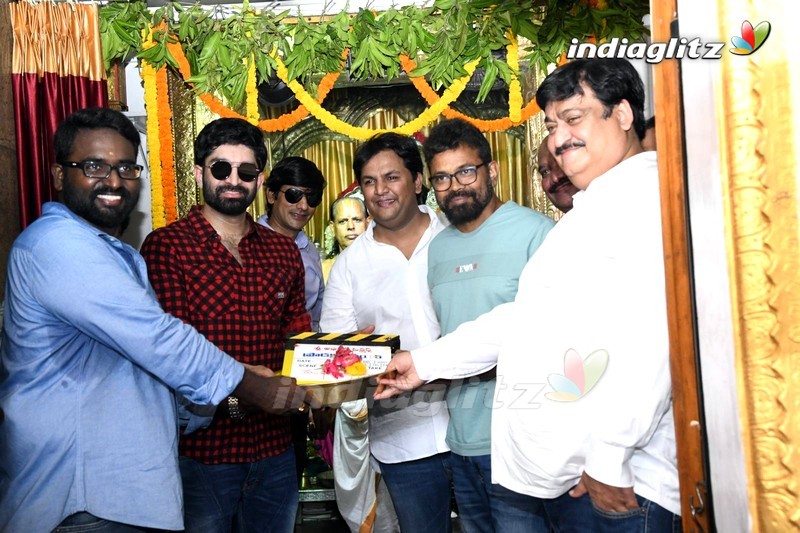 Havish New Movie Launch