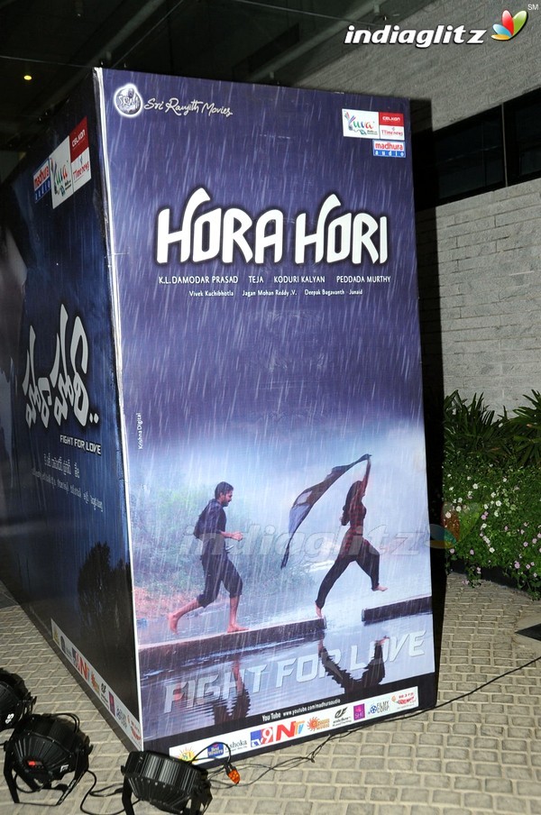 'Hora Hori' Audio Launch (Set-1)