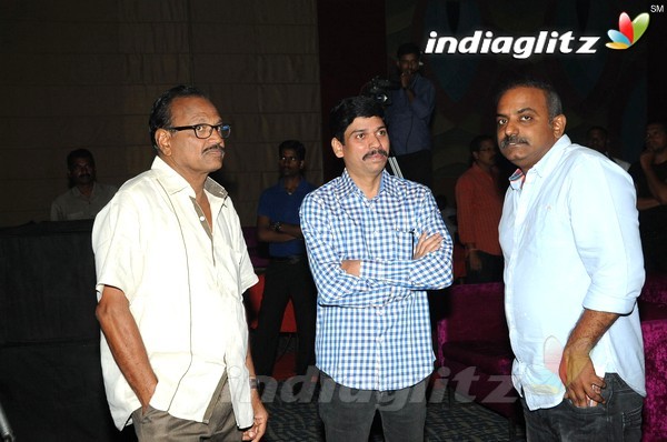 'Hora Hori' Audio Launch (Set-1)