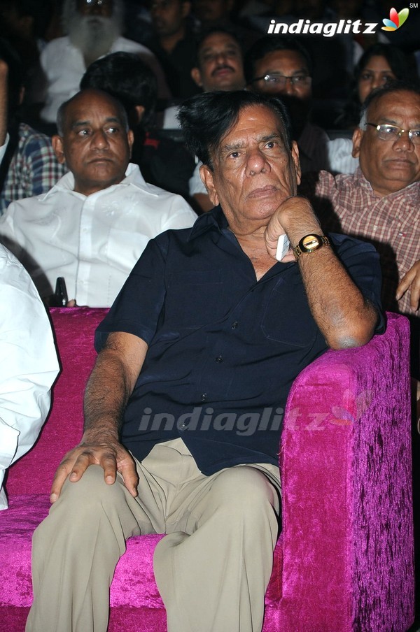 'Hora Hori' Audio Launch (Set-1)