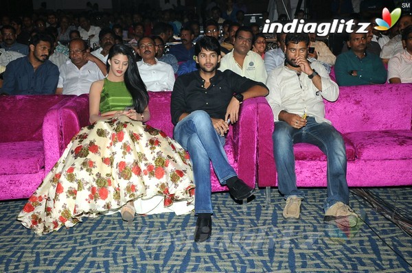 'Hora Hori' Audio Launch (Set-1)