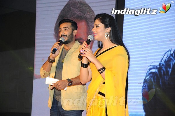 'Hora Hori' Audio Launch (Set-1)