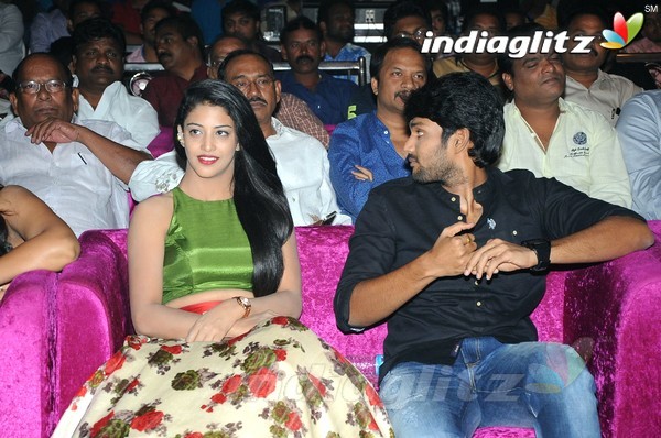 'Hora Hori' Audio Launch (Set-1)