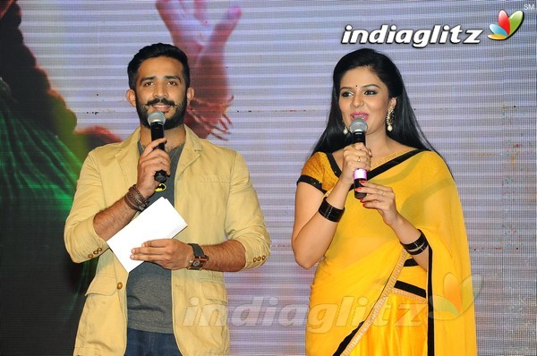 'Hora Hori' Audio Launch (Set-1)