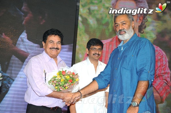 'Hora Hori' Audio Launch (Set-1)