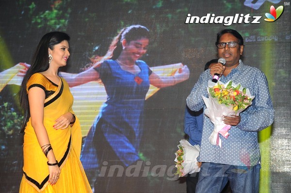 'Hora Hori' Audio Launch (Set-1)