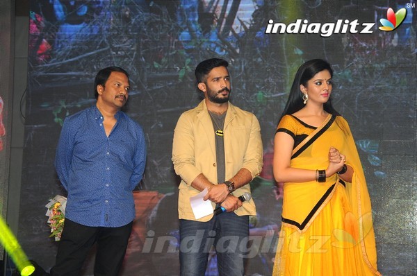 'Hora Hori' Audio Launch (Set-1)