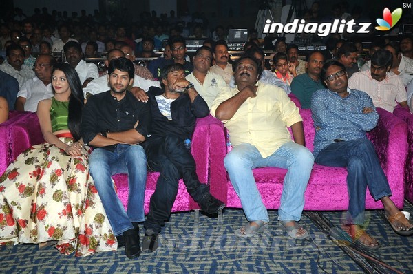 'Hora Hori' Audio Launch (Set-1)