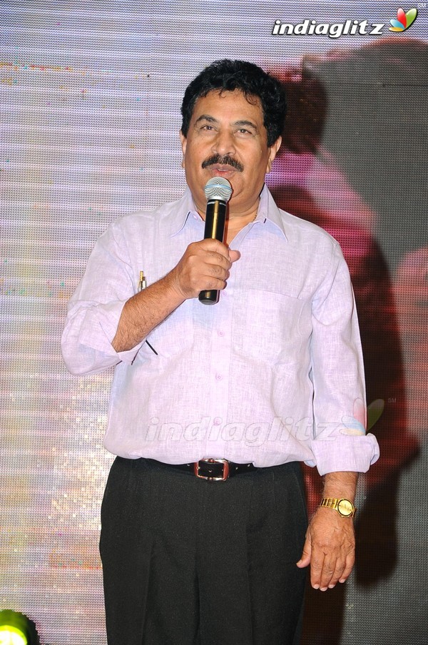 'Hora Hori' Audio Launch (Set-1)