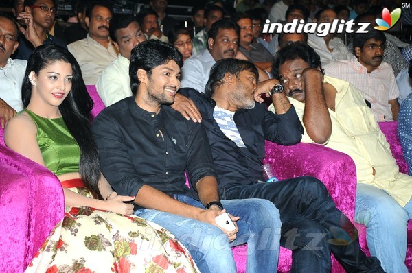 'Hora Hori' Audio Launch (Set-1)