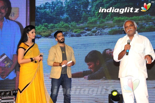 'Hora Hori' Audio Launch (Set-2)