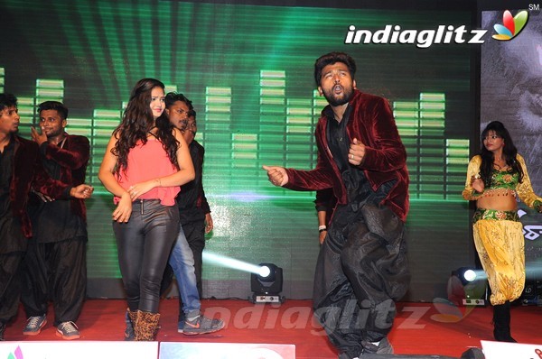 'Hora Hori' Audio Launch (Set-2)