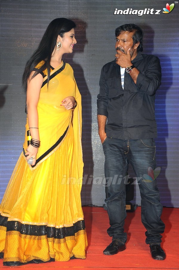 'Hora Hori' Audio Launch (Set-2)