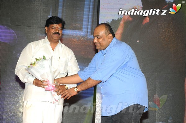 'Hora Hori' Audio Launch (Set-2)