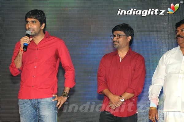 'Hora Hori' Audio Launch (Set-2)