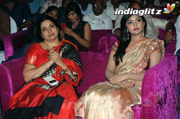 'Hora Hori' Audio Launch (Set-2)