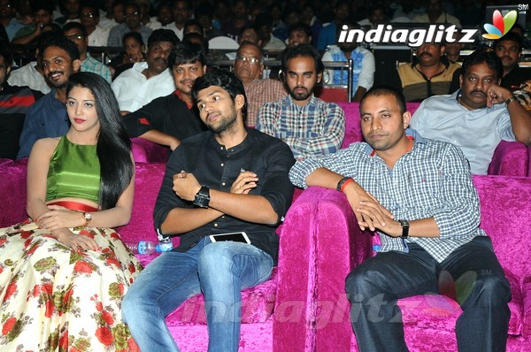 'Hora Hori' Audio Launch (Set-2)