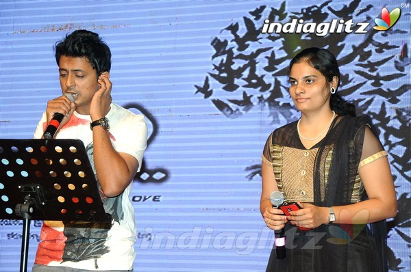 'Hora Hori' Audio Launch (Set-2)