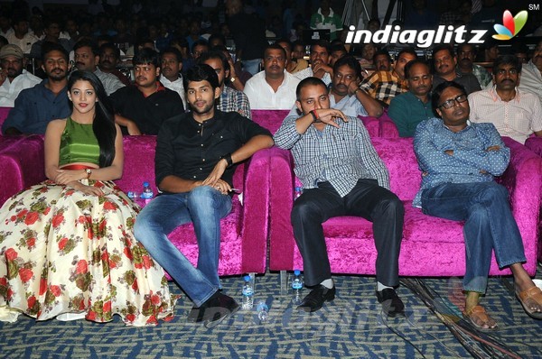 'Hora Hori' Audio Launch (Set-2)