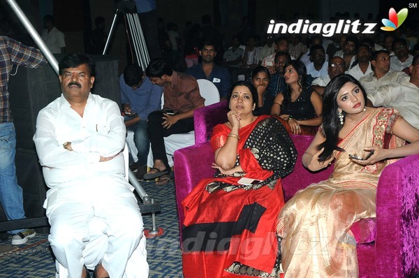 'Hora Hori' Audio Launch (Set-2)