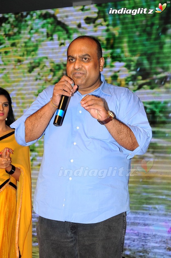 'Hora Hori' Audio Launch (Set-2)