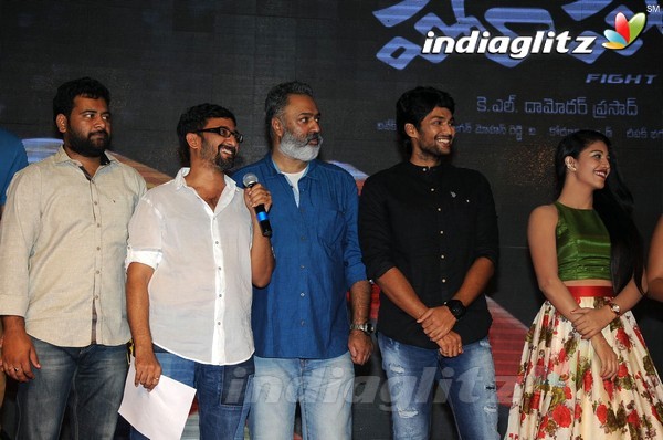 'Hora Hori' Audio Launch (Set-2)