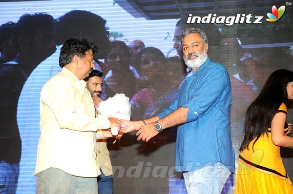 'Hora Hori' Audio Launch (Set-2)