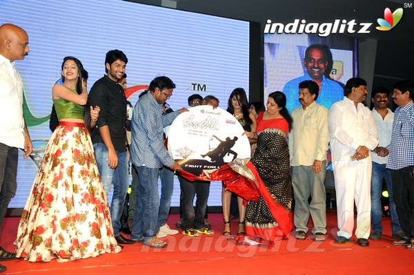 'Hora Hori' Audio Launch (Set-2)