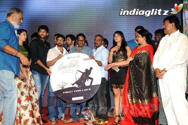 'Hora Hori' Audio Launch (Set-2)