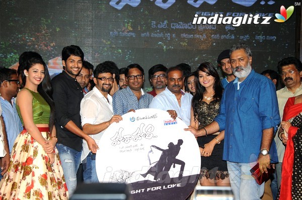 'Hora Hori' Audio Launch (Set-2)