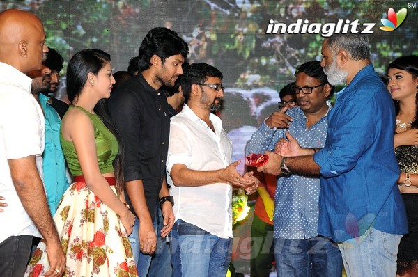 'Hora Hori' Audio Launch (Set-2)