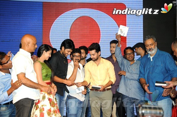 'Hora Hori' Audio Launch (Set-2)