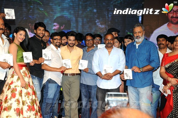 'Hora Hori' Audio Launch (Set-2)