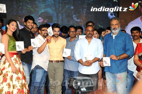 'Hora Hori' Audio Launch (Set-2)