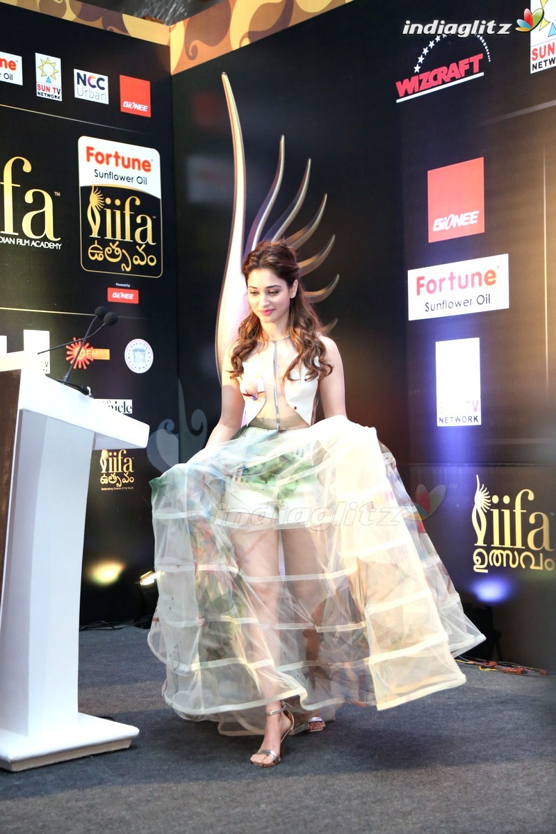 Celebs @ 'IIFA UTSAVAM' Curtain Raiser 2015