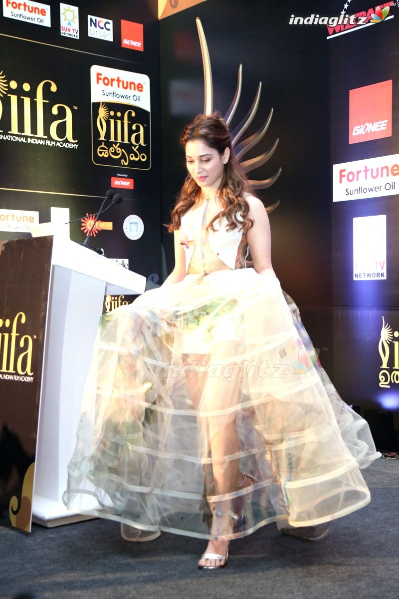 Celebs @ 'IIFA UTSAVAM' Curtain Raiser 2015