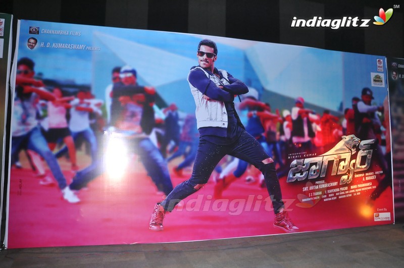 'Jaguar' Audio Launch (Set-1)