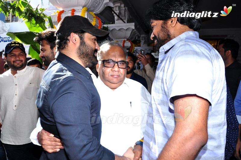 NTR @ Sai Dharam Tej's 'Jawan' Movie Launch