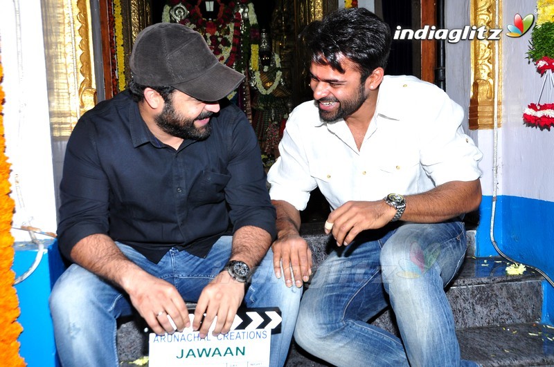 NTR @ Sai Dharam Tej's 'Jawan' Movie Launch