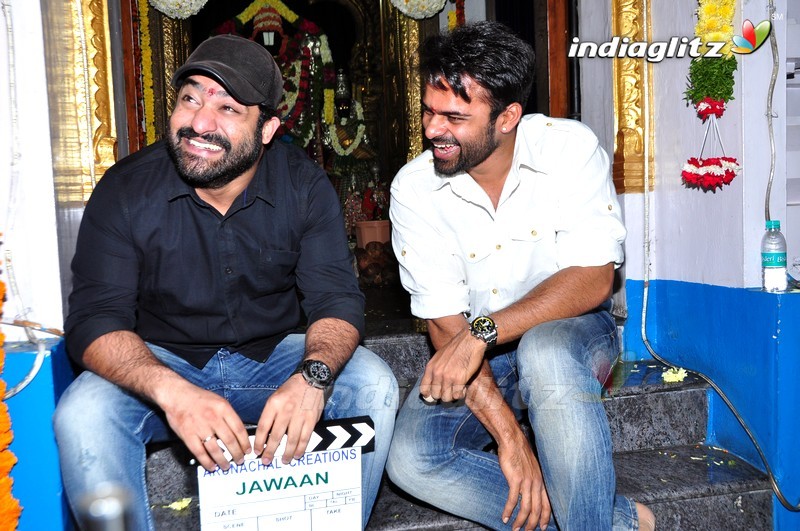 NTR @ Sai Dharam Tej's 'Jawan' Movie Launch