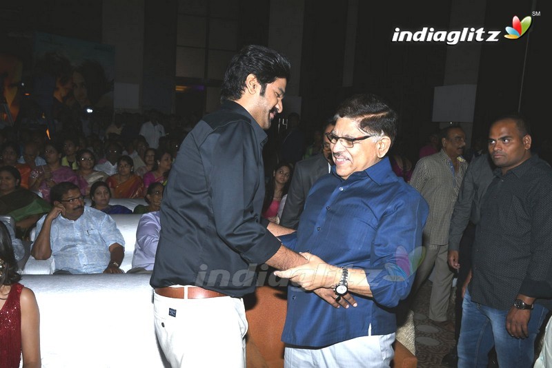 'Jayadev' Pre - Release Function