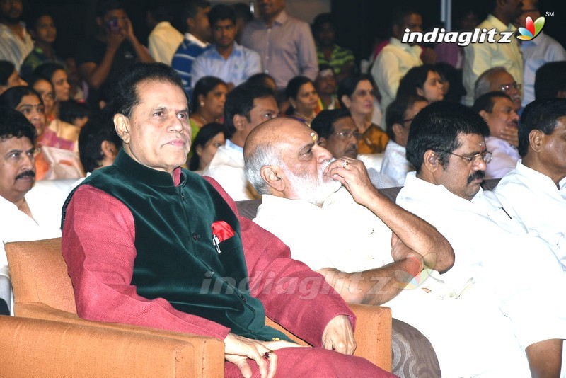 'Jayadev' Pre - Release Function