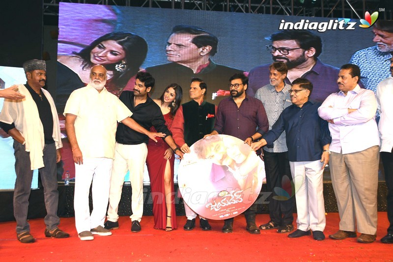 'Jayadev' Pre - Release Function