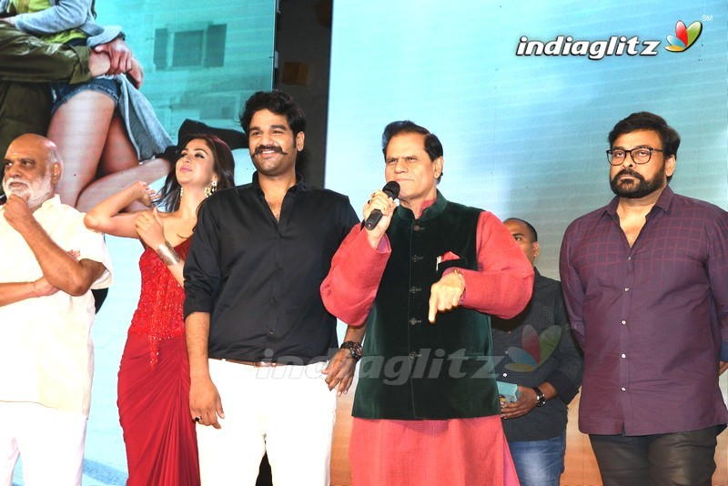 'Jayadev' Pre - Release Function