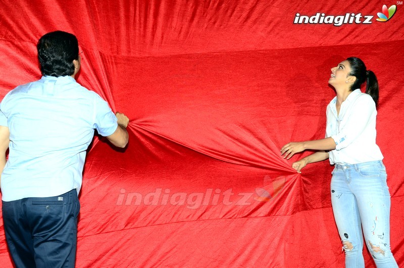 'Jaya Janaki Nayaka' Logo Launch