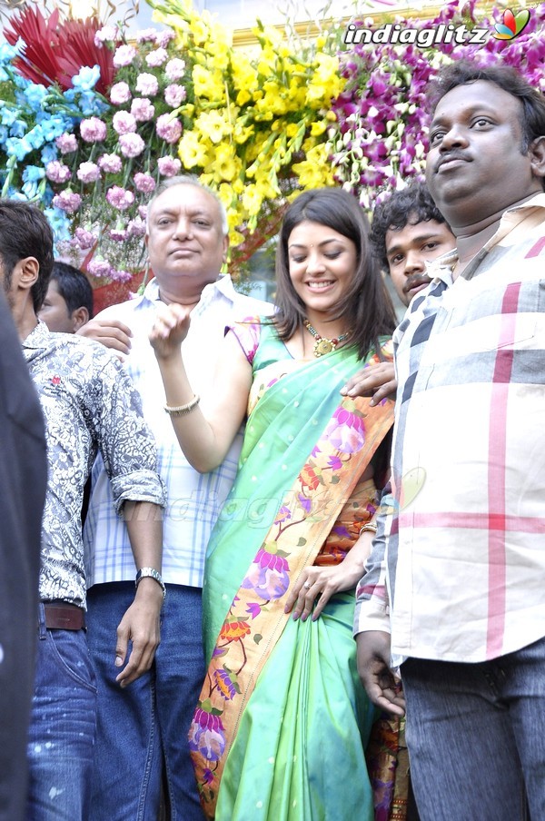 Kajal Agarwal @ Kalanikethan Showroom Launch