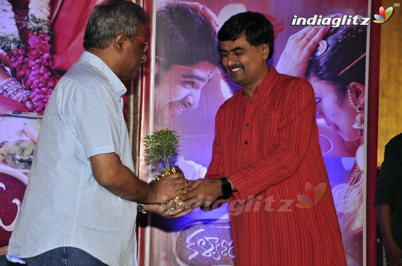 'Kalyana Vaibhogame' Audio Launch (Set-1)