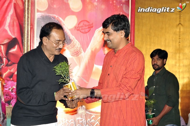 'Kalyana Vaibhogame' Audio Launch (Set-1)