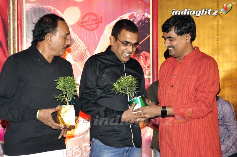 'Kalyana Vaibhogame' Audio Launch (Set-1)